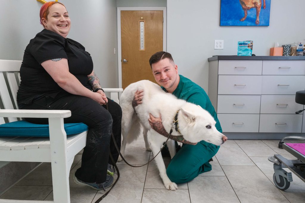 2025-ndvh-selects-kariherer-035 2025-ndvh-selects-kariherer-035