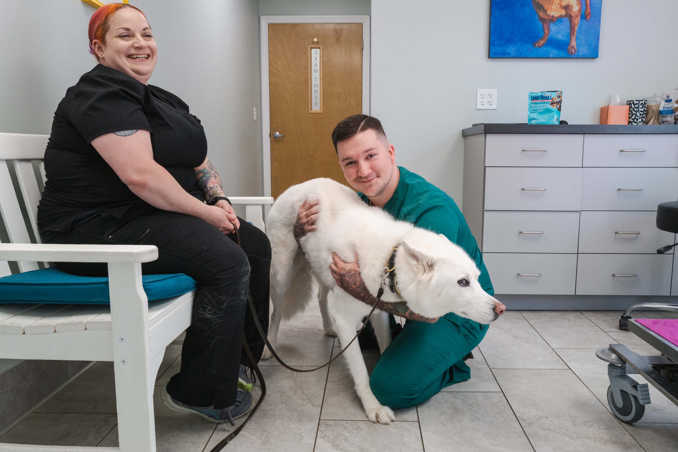 our-stories 2025-ndvh-selects-kariherer-035