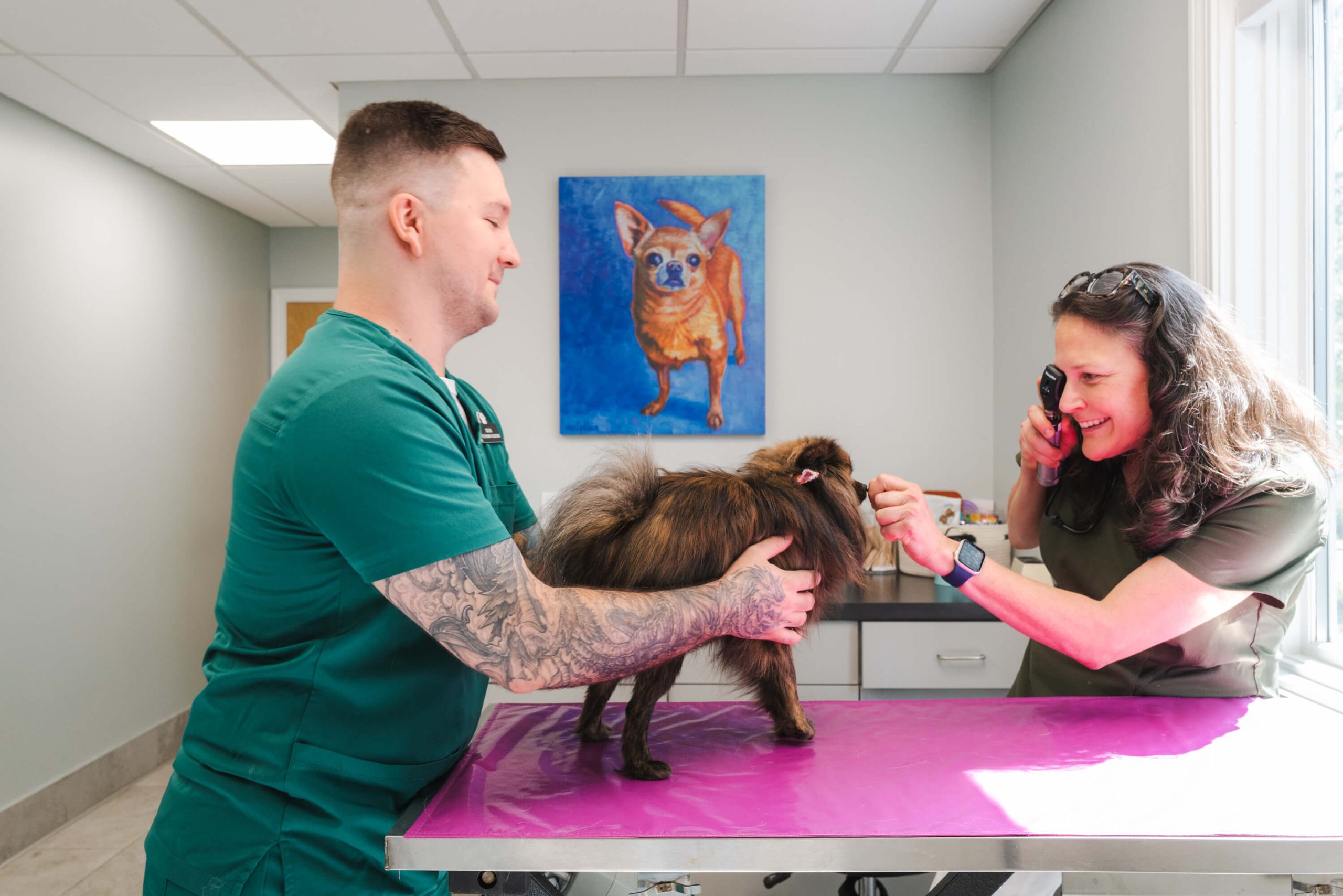 who-we-are 2025-ndvh-selects-kariherer-036