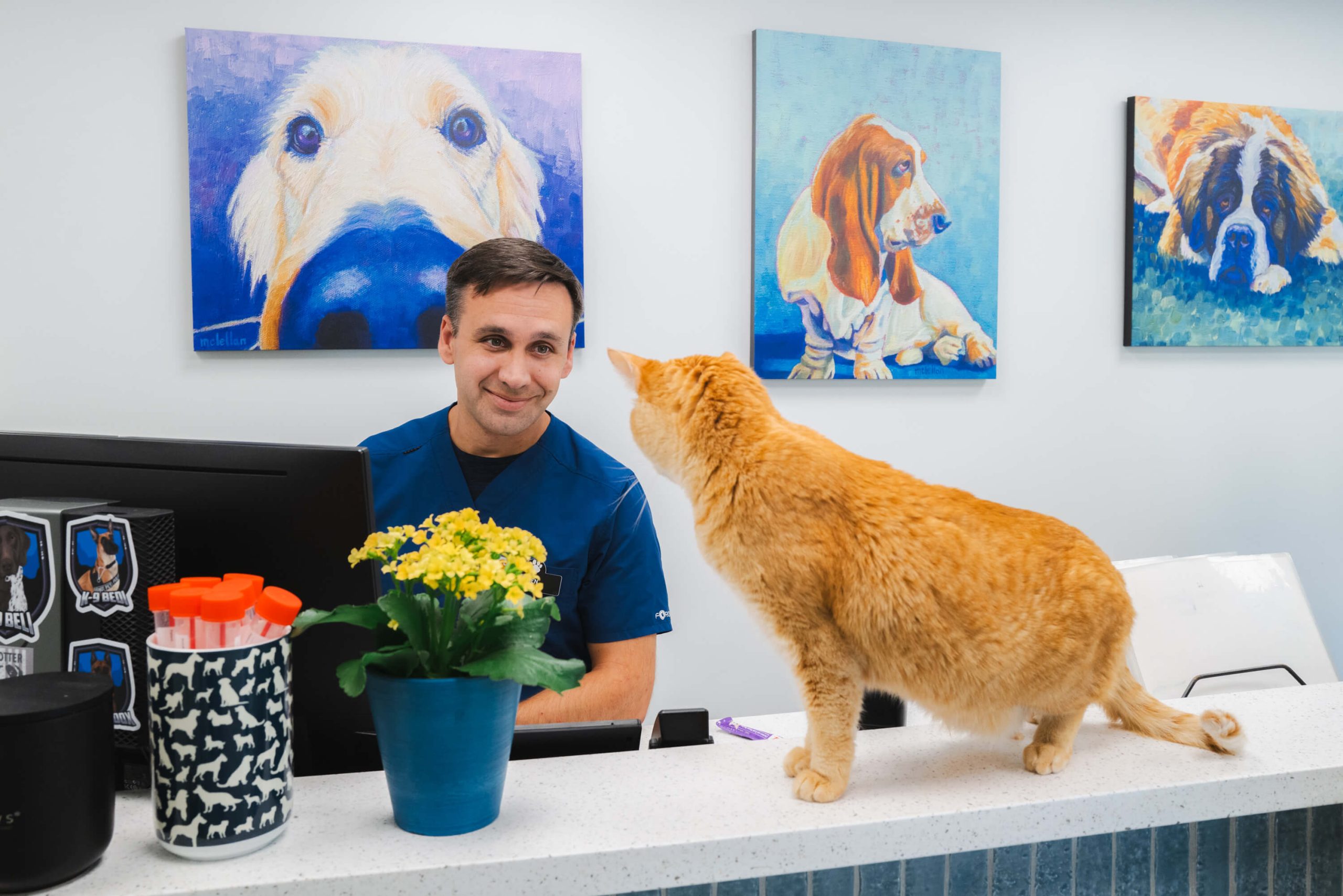 service-06 2025-ndvh-selects-kariherer-037