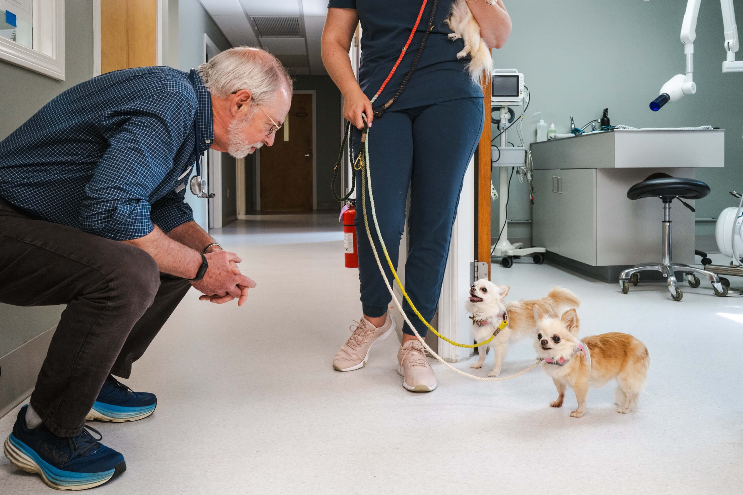 service-02 2025-ndvh-selects-kariherer-040